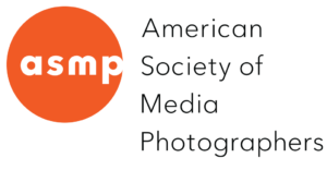 Houston American Society of Media Professionals Member